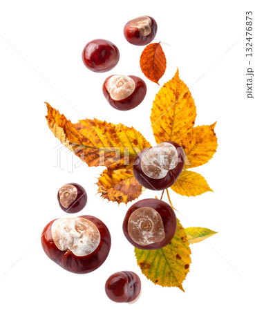 宙に舞う栗と紅葉が描く秋｜背景なし・透過PNG・コピースペース 132476873
