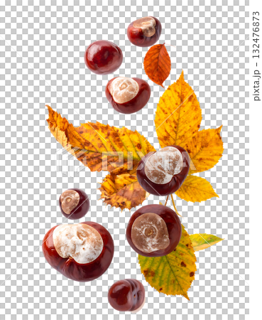 秋天，栗子飛舞，落葉飄零 | 無背景，透明PNG，複製空間 132476873