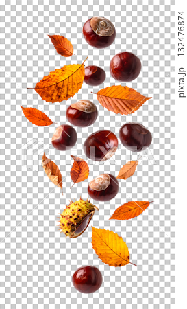 秋天,栗子飛舞,落葉飄零 | 無背景,透明PNG,複製空間 秋天,栗子飛舞,落葉飄零 | 無背景,透明PNG,複製空間 132476874