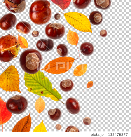 秋天,栗子飛舞,落葉飄零 | 無背景,透明PNG,複製空間 秋天,栗子飛舞,落葉飄零 | 無背景,透明PNG,複製空間 132476877