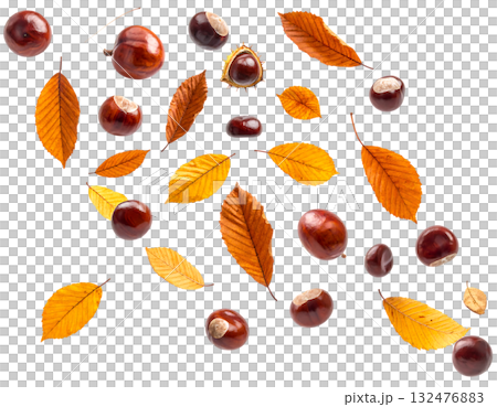 秋天，栗子飛舞，落葉飄零 | 無背景，透明PNG，複製空間 132476883