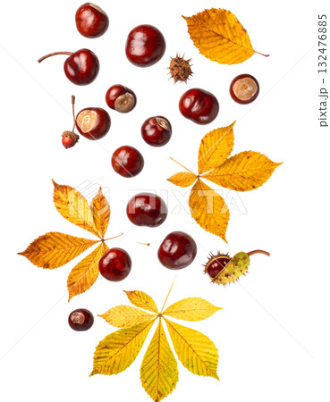宙に舞う栗と紅葉が描く秋｜背景なし・透過PNG・コピースペース 132476885