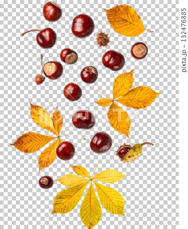 宙に舞う栗と紅葉が描く秋｜背景なし・透過PNG・コピースペース 132476885