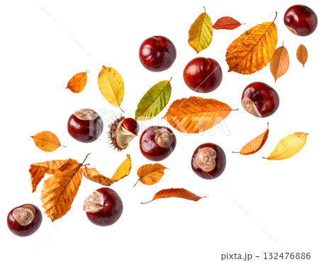 宙に舞う栗と紅葉が描く秋｜背景なし・透過PNG・コピースペース 132476886