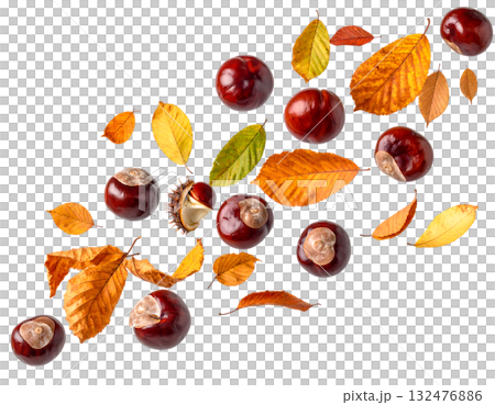 宙に舞う栗と紅葉が描く秋｜背景なし・透過PNG・コピースペース 132476886