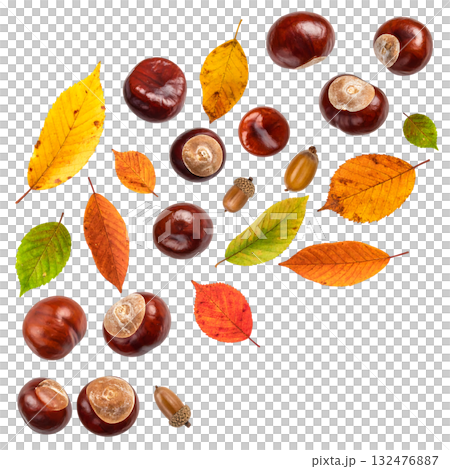 秋天,栗子飛舞,落葉飄零 | 無背景,透明PNG,複製空間 秋天,栗子飛舞,落葉飄零 | 無背景,透明PNG,複製空間 132476887