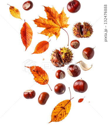 宙に舞う栗と紅葉が描く秋｜背景なし・透過PNG・コピースペース 132476888