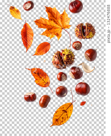 秋天，栗子飛舞，落葉飄零 | 無背景，透明PNG，複製空間 132476888