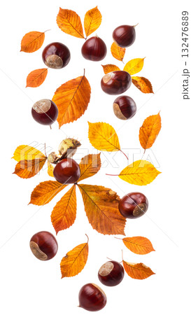 宙に舞う栗と紅葉が描く秋|背景なし・透過PNG・コピースペース 宙に舞う栗と紅葉が描く秋|背景なし・透過PNG・コピースペース 132476889