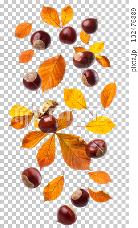 宙に舞う栗と紅葉が描く秋|背景なし・透過PNG・コピースペース 宙に舞う栗と紅葉が描く秋|背景なし・透過PNG・コピースペース 132476889