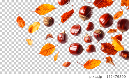 秋天，栗子飛舞，落葉飄零 | 無背景，透明PNG，複製空間 132476890