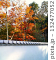 白壁に映える秋の紅葉　　　歴史的建物の白壁と鮮やかな紅葉が織りなす秋の景色。 132477052