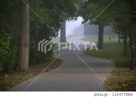 Misty Park Path Winding Through Green Trees On A Quiet Morning Walk In Nature 132477060