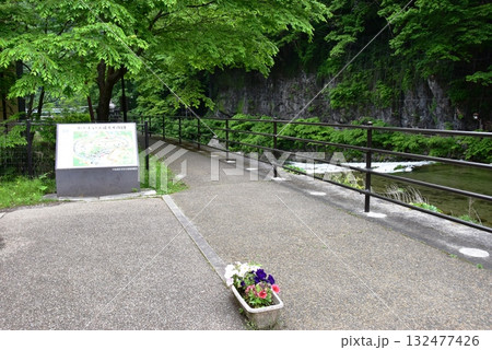 日光市川治温泉　川治ふれあい公園の男鹿川沿い散策路と新緑 132477426