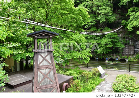 日光市川治温泉　川治ふれあい公園の男鹿川沿い散策路と新緑 132477427