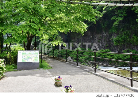 日光市川治温泉 川治ふれあい公園の男鹿川沿い散策路と新緑 日光市川治温泉 川治ふれあい公園の男鹿川沿い散策路と新緑 132477430