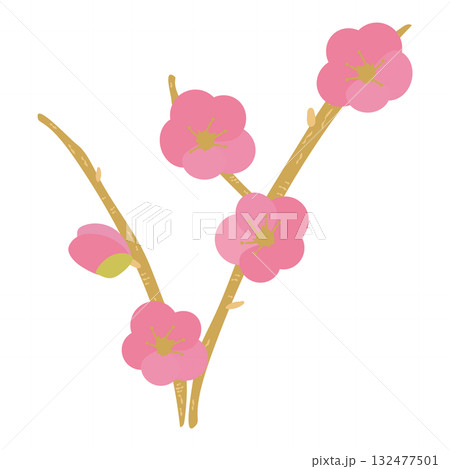 梅の花と枝の和風お正月イラスト 梅の花と枝の和風お正月イラスト 132477501