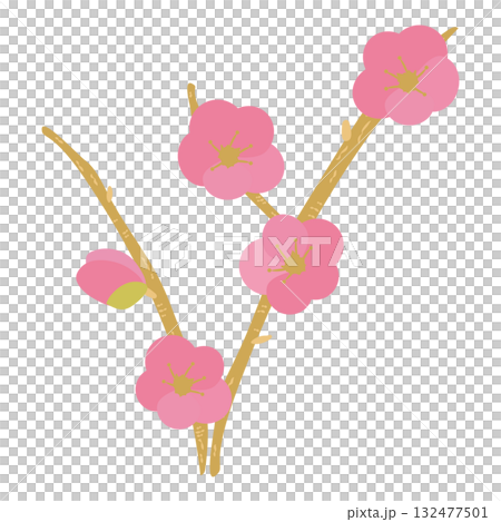 梅の花と枝の和風お正月イラスト 梅の花と枝の和風お正月イラスト 132477501