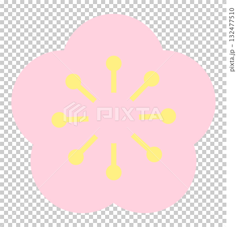 Pale pink plum blossom illustration 132477510