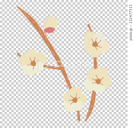 New Year's illustration of white plum branch 132477511