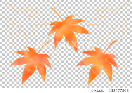 秋天的樹葉 132477868