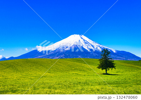 美瑛の田園風景と富士山合成 132478060