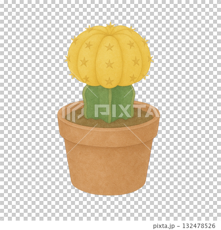 [仙人掌] 黃色裸萼球（猩紅牡丹）/盆 132478526