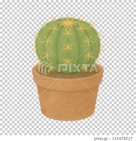 [仙人掌] 金琥（金蟾）/盆栽插圖 132478527