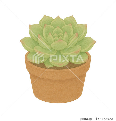 【多肉植物】エケベリア(アリエル)のイラスト/鉢 132478528