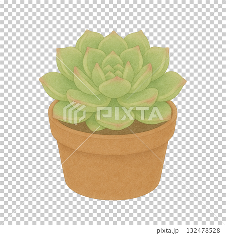【多肉植物】エケベリア(アリエル)のイラスト/鉢 132478528