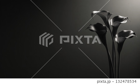 モノクロームのカラーリリー | ミニマルな構図と広いコピースペース（追悼、厳粛、エレガント） 132478534