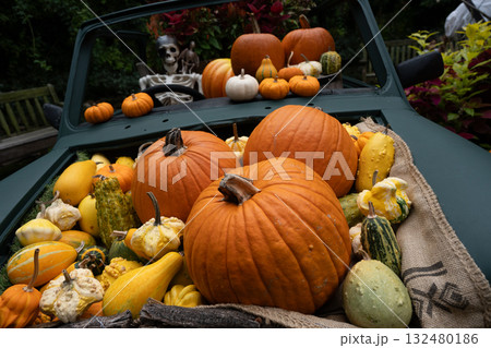 ハロウイン ハロウイン 132480186