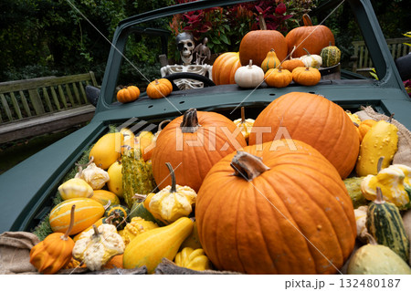 ハロウイン 132480187