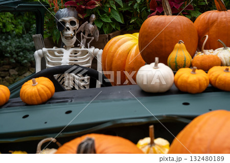 ハロウイン 132480189