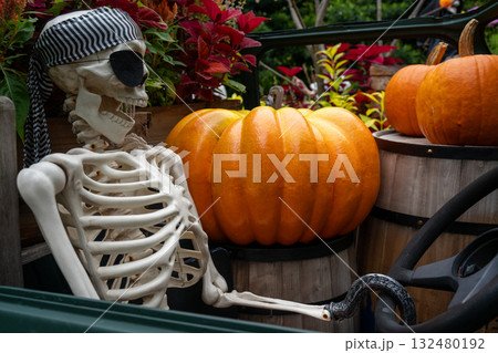 ハロウイン ハロウイン 132480192