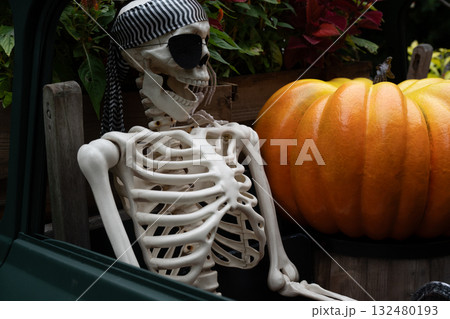 ハロウイン 132480193
