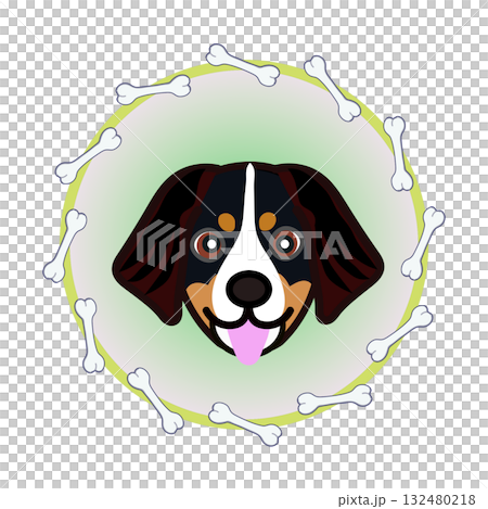 伯恩山犬的臉部呈圓形,由骨頭構成 伯恩山犬的臉部呈圓形,由骨頭構成 132480218