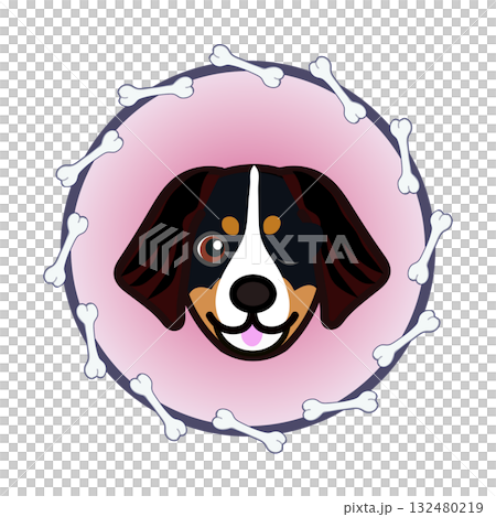 伯恩山犬的臉部呈圓形，由骨頭構成 132480219