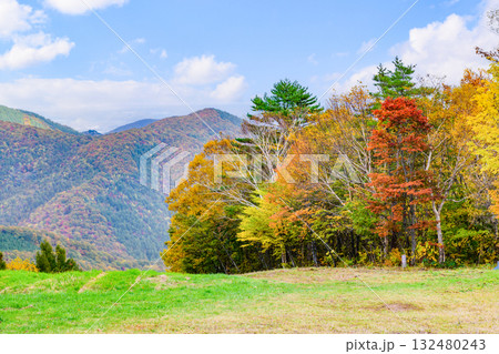 秋　泉ヶ岳山麓 132480243
