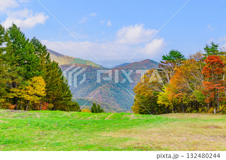 秋 泉ヶ岳山麓 秋 泉ヶ岳山麓 132480244