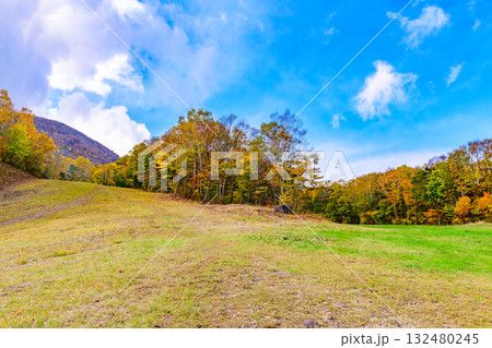 秋 泉ヶ岳山麓 秋 泉ヶ岳山麓 132480245