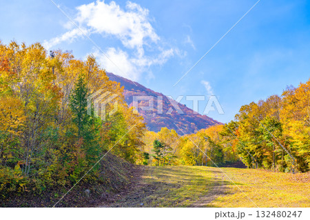 秋 泉ヶ岳山麓 秋 泉ヶ岳山麓 132480247