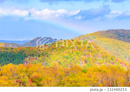 秋 泉ヶ岳山麓 秋 泉ヶ岳山麓 132480253