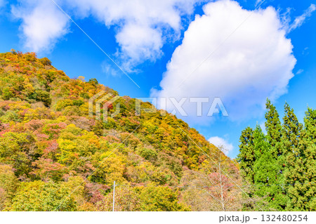 秋 泉ヶ岳山麓 秋 泉ヶ岳山麓 132480254