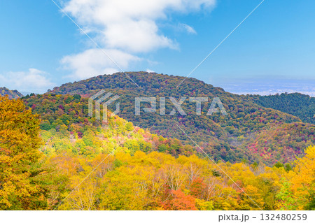秋 泉ヶ岳山麓 秋 泉ヶ岳山麓 132480259