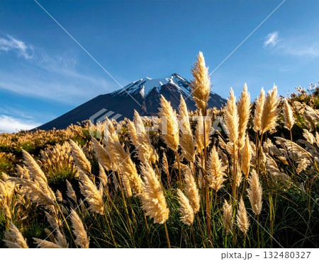 【AI生成画像】ススキは日本の秋の風物詩 【AI生成画像】ススキは日本の秋の風物詩 132480327