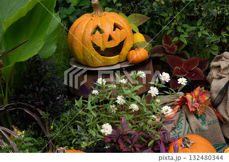ハロウイン ハロウイン 132480344