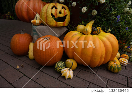 ハロウイン 132480446