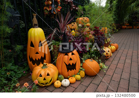 ハロウイン ハロウイン 132480500