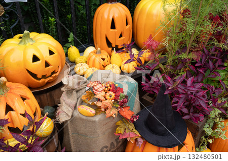ハロウイン ハロウイン 132480501